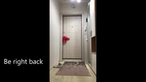 Melina online show from February 2026 09:08:02 AM