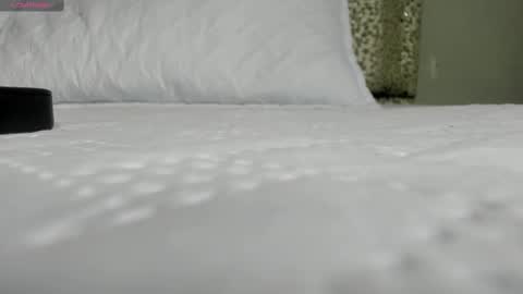 Snapshot of melisabostton_ chatting on March 2025 12:56:02 PM Melissa online show from March 2025 12:56:02 PM