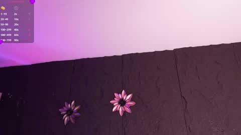 Snapshot of melisabostton_ chatting on January 2026 01:27:02 PM Melissa online show from January 2026 01:27:02 PM