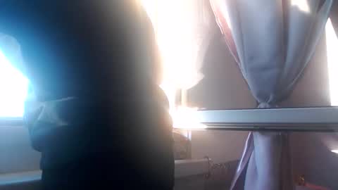 Melli online show from November 2025 02:28:01 PM