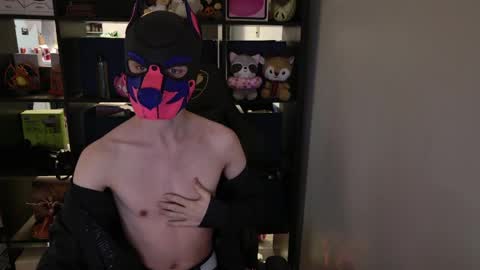 Snapshot of mellpup chatting on March 2026 01:45:01 PM MellPUP online show from March 2026 01:45:01 PM