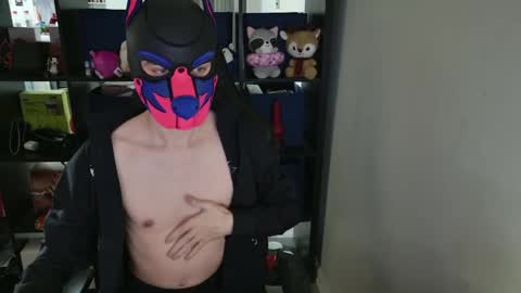 Snapshot of mellpup chatting on April 2026 05:21:02 PM MellPUP online show from April 2026 05:21:02 PM