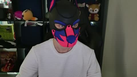 Snapshot of mellpup chatting on April 2026 09:04:02 PM MellPUP online show from April 2026 09:04:02 PM