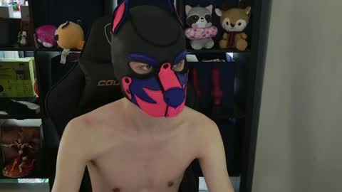 Snapshot of mellpup chatting on April 2026 09:31:02 PM MellPUP online show from April 2026 09:31:02 PM