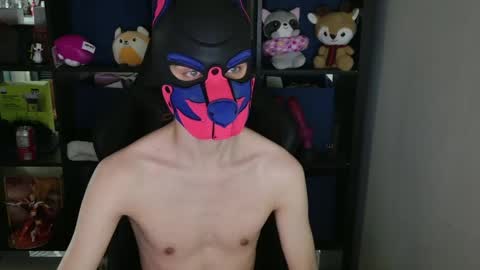 Snapshot of mellpup chatting on April 2026 12:06:01 AM MellPUP online show from April 2026 12:06:01 AM