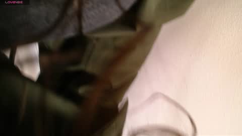 Snapshot of melodiroux_ chatting on June 2026 12:58:01 PM Melodi online show from June 2026 12:58:01 PM