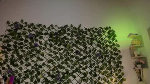 melody_cute10 online show from January 2025 04:41:01 PM