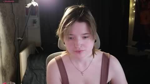 meowme online show from February 2026 04:27:02 PM