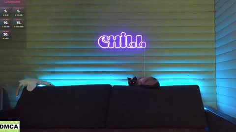  NIKKY  STIVE     Every day from 1000  to 200  EST time. online show from January 2025 05:08:02 AM