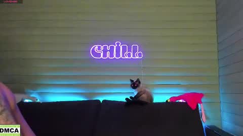  NIKKY  STIVE     Every day from 1000  to 200  EST time. online show from January 2025 03:31:02 PM