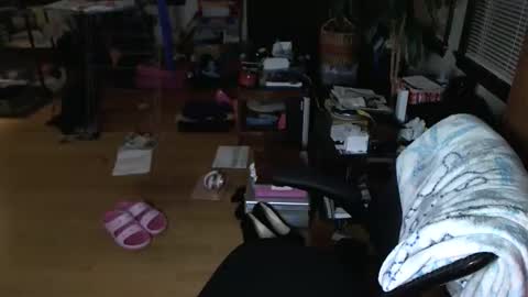 Snapshot of mercurybeetle chatting on December 2024 01:28:02 PM Tsukiko online show from December 2024 01:28:02 PM