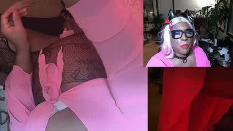 Snapshot of mercurybeetle chatting on January 2025 11:49:01 AM Tsukiko online show from January 2025 11:49:01 AM