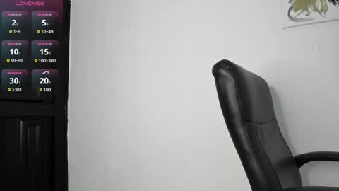 Snapshot of merysummer chatting on January 2025 12:17:02 AM Mery Summer online show from January 2025 12:17:02 AM