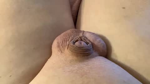 Wade online show from January 2025 07:21:01 PM