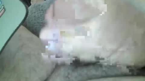 mexianthehawk online show from March 2026 05:02:01 AM