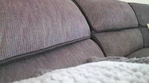 mexianthehawk online show from March 2026 04:35:01 AM