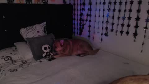 mia online show from February 2026 11:33:01 PM