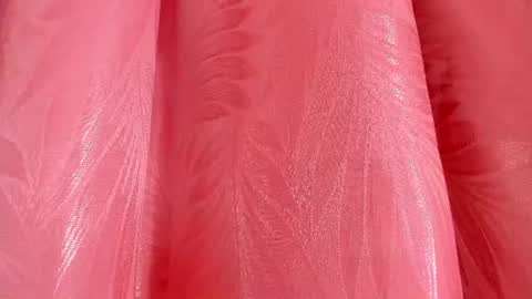 mia_nova5 online show from July 2026 11:51:02 AM