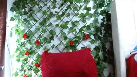 Mia squirt big INDEPENDENT MODEL...ONLYFANS  online show from December 2024 12:49:01 PM