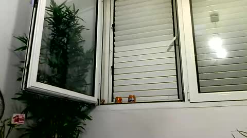 MILO MIAMI online show from June 2026 12:27:01 AM