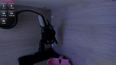 michellepreston_ online show from February 2026 11:54:01 AM