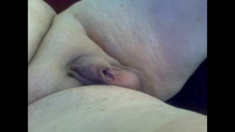 micropimmel online show from July 2026 04:34:01 PM