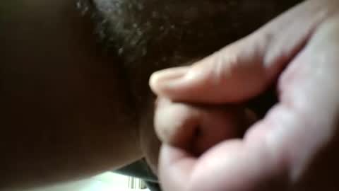 midlomale online show from October 2025 04:13:02 AM