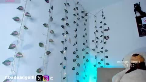       online show from November 2025 12:08:02 AM