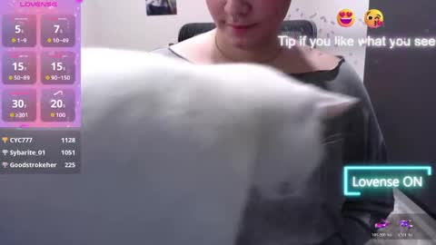 Miel online show from April 2026 01:34:01 PM