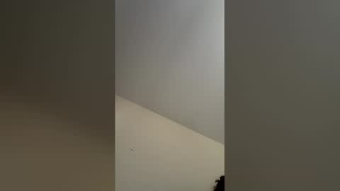 mikethefreshbull online show from May 2026 06:16:02 PM