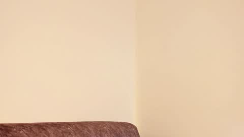     online show from December 2024 10:14:02 AM