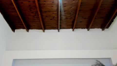 Snapshot of milarose4 chatting on January 2025 11:18:02 AM Mila Rose online show from January 2025 11:18:02 AM