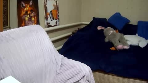 Milaxcute online show from September 2025 01:33:01 PM