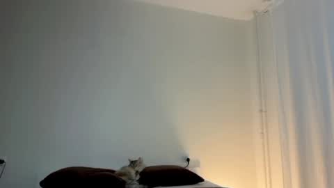 milky__way_ online show from January 2026 01:57:02 PM