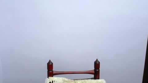 MINATO online show from December 2024 11:25:01 PM