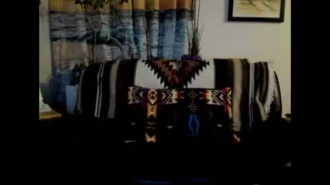 mindphuk online show from January 2025 04:55:01 AM