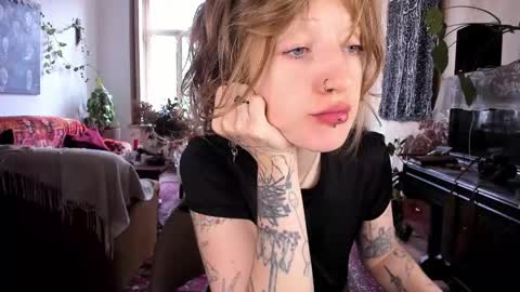 miranda2_0 online show from January 2025 08:31:01 AM