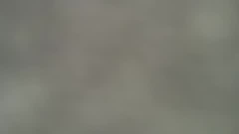 Snapshot of mirela_silver chatting on April 2026 12:06:02 PM Mirela online show from April 2026 12:06:02 PM