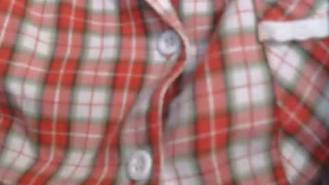 Elis online show from December 2025 02:03:01 PM