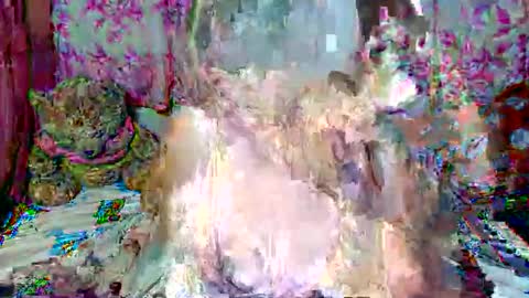 miss v0lcan0 online show from March 2026 12:05:02 AM