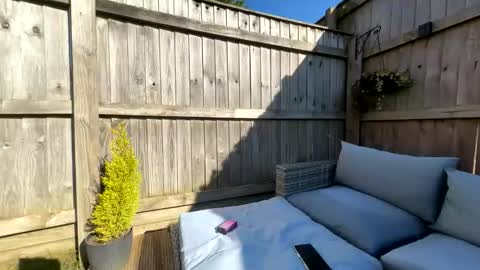  Miss Alex  online show from March 2026 02:09:01 PM