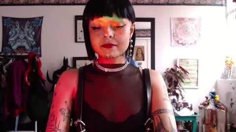 Snapshot of missanarky chatting on February 2026 08:13:01 PM Anarkitten online show from February 2026 08:13:01 PM