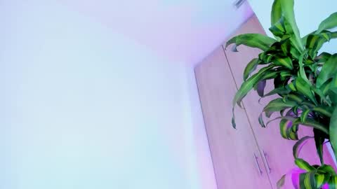 missangeldust online show from December 2025 11:37:01 AM