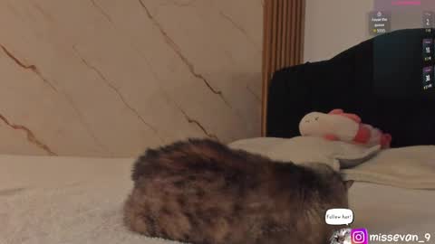 Snapshot of missevan chatting on April 2026 12:39:01 PM Sami Evan online show from April 2026 12:39:01 PM
