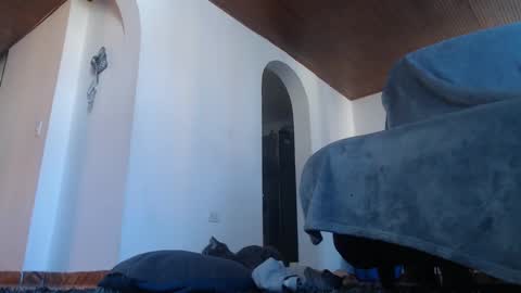 mistersam33 online show from February 2025 01:44:01 PM