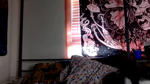 Mistress Mystii online show from January 2025 11:31:01 PM