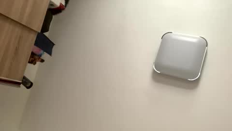 mitchi198989 online show from April 2026 08:56:01 AM