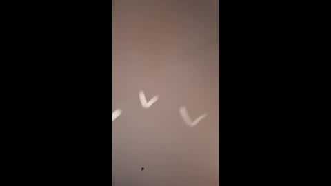 Mike4using online show from March 2026 10:20:01 AM