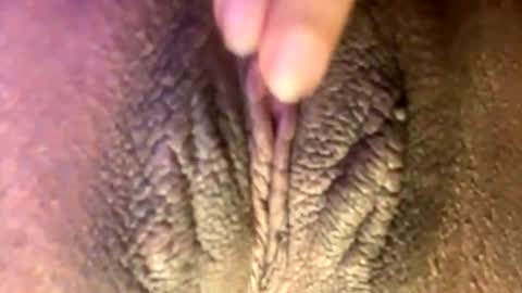 mmmtara online show from June 2026 03:31:02 AM