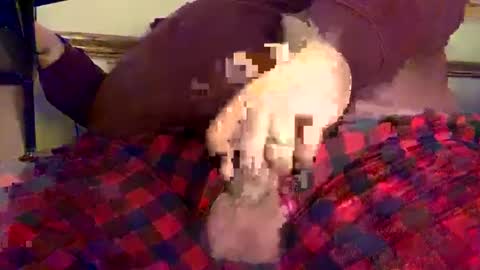 mnguy19726969 online show from December 2024 06:25:01 PM